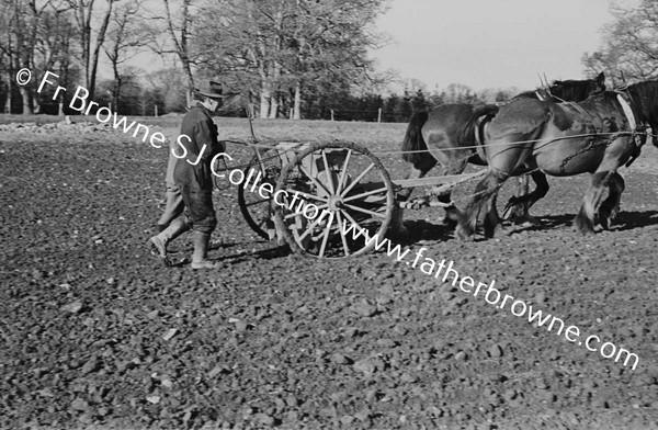 SOWING WINTER WHEAT MACHINE